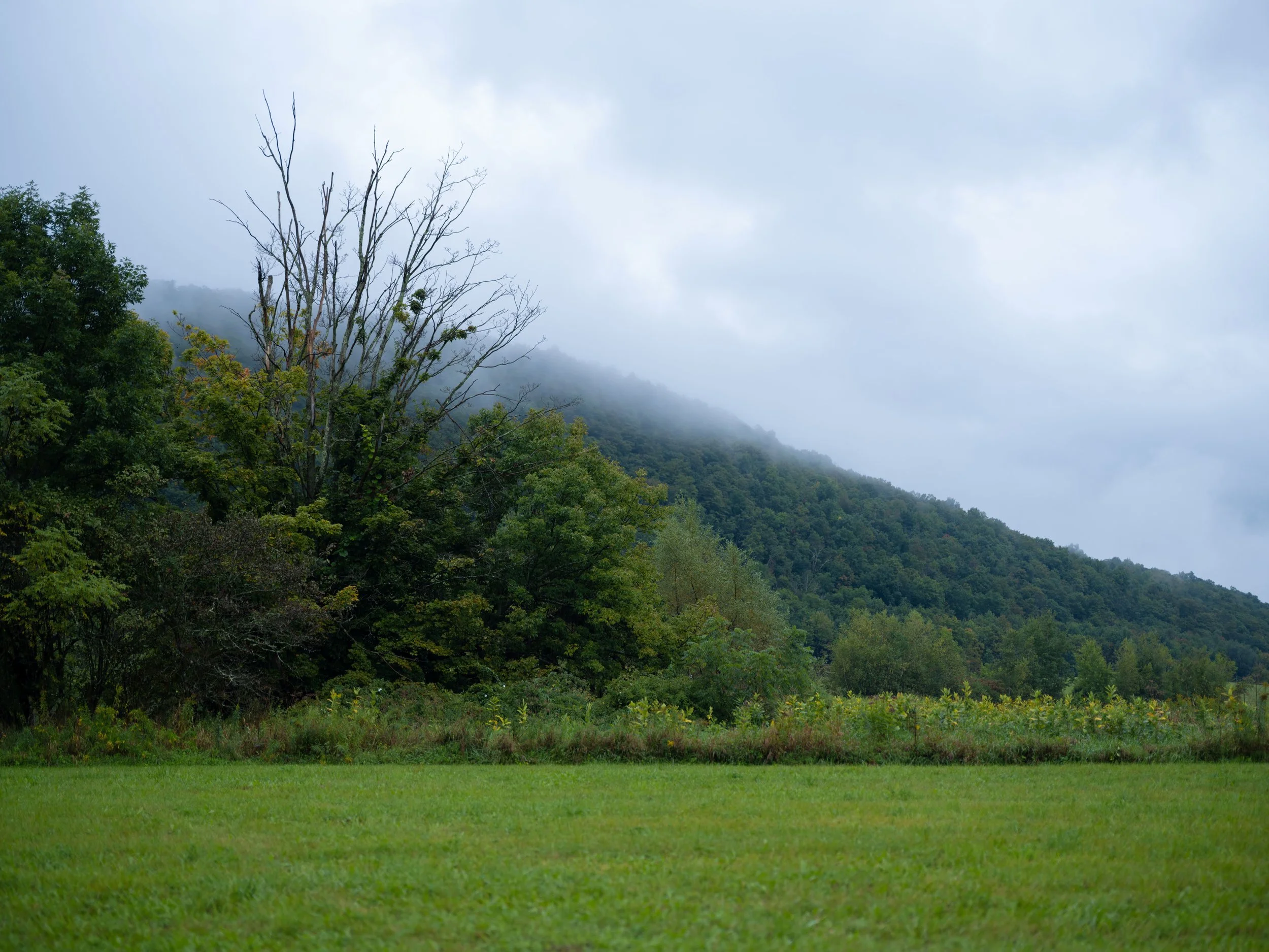 DSCF7836.jpg