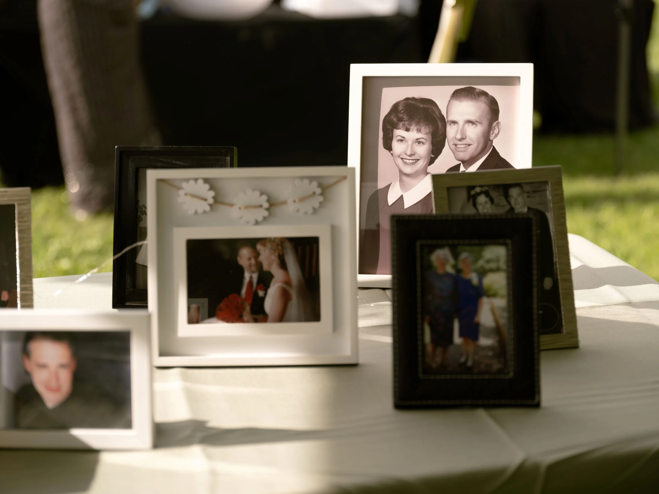 DSCF6176.jpg
