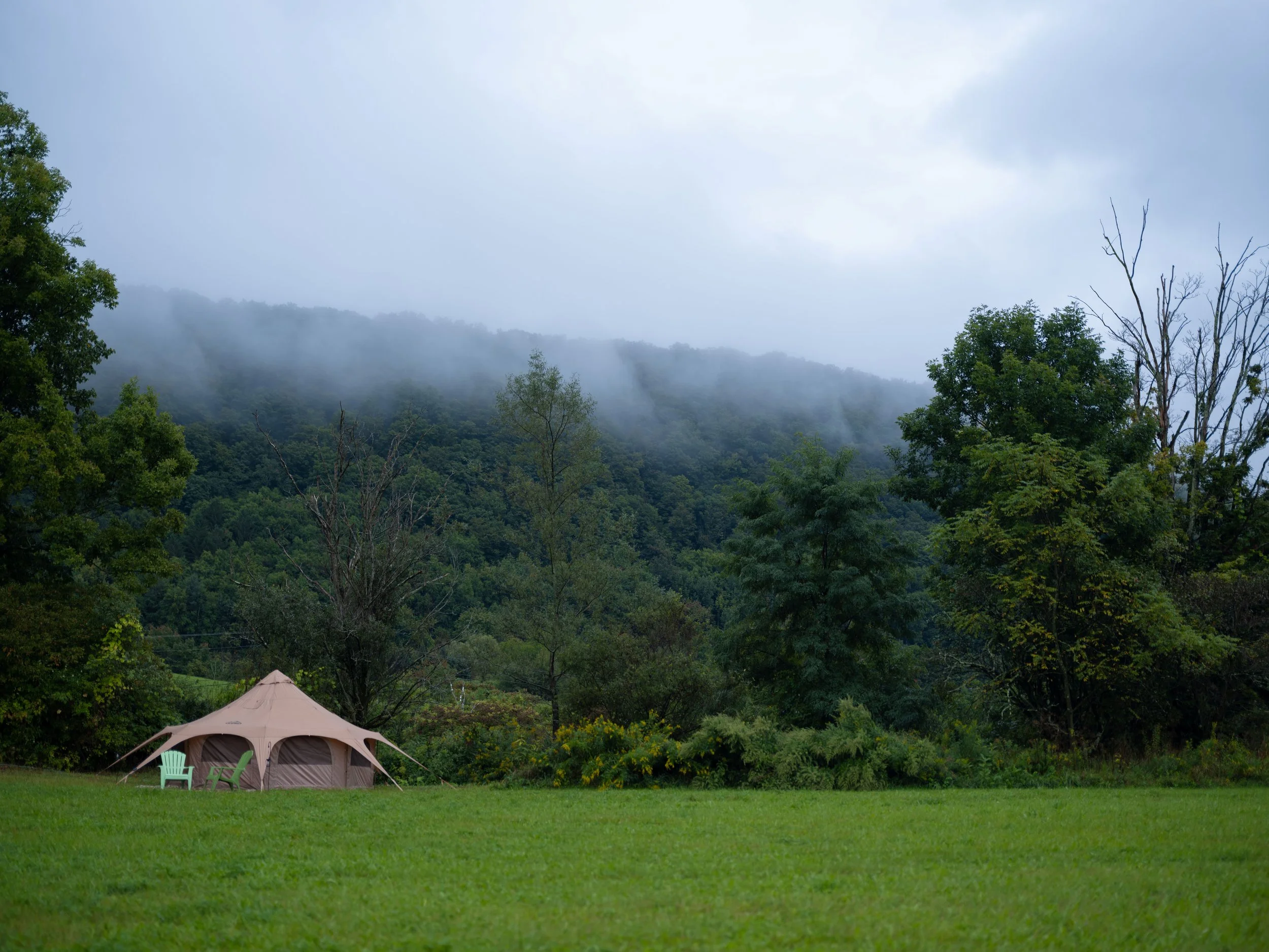 DSCF7835.jpg