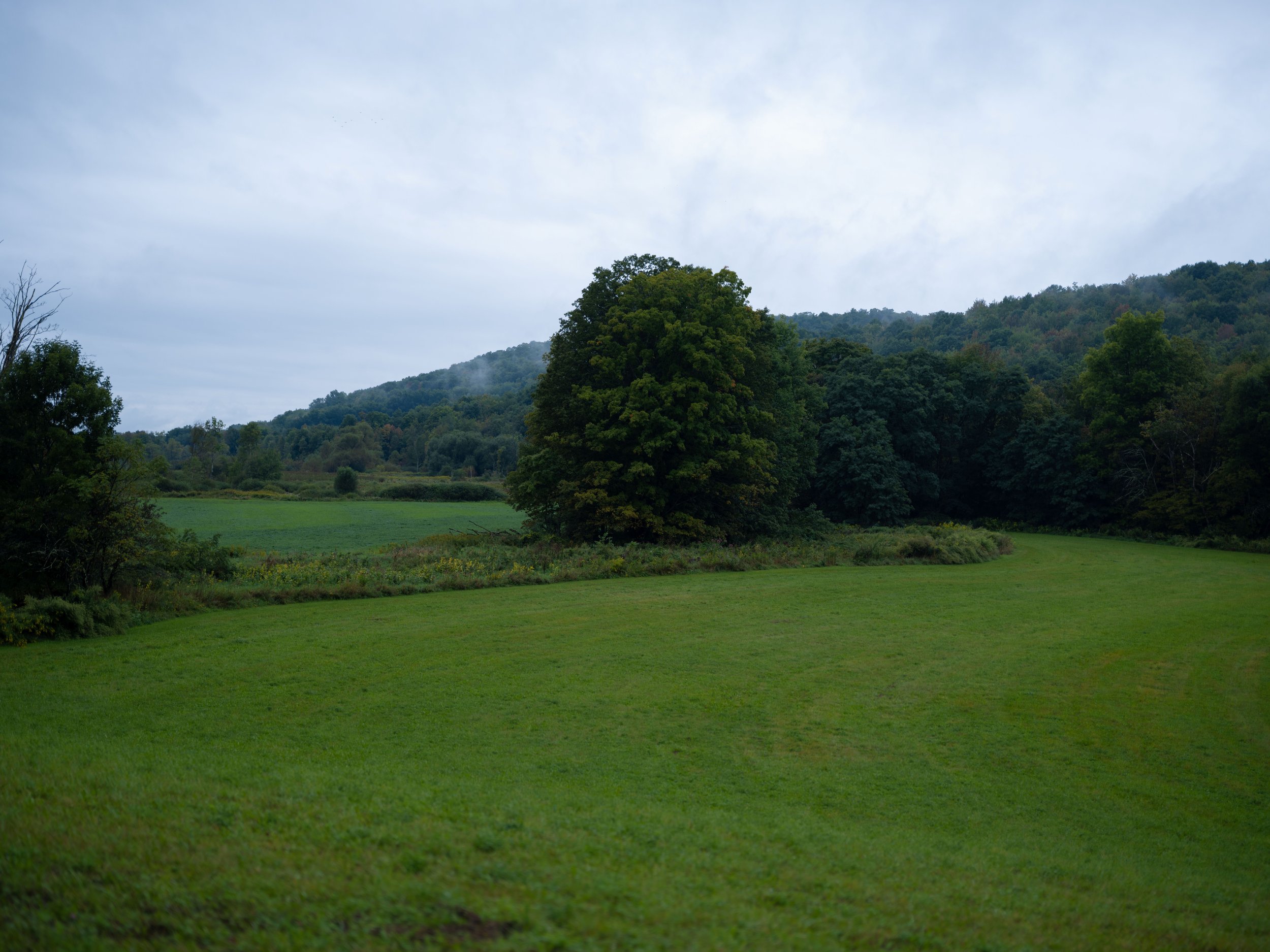 DSCF7834.jpg