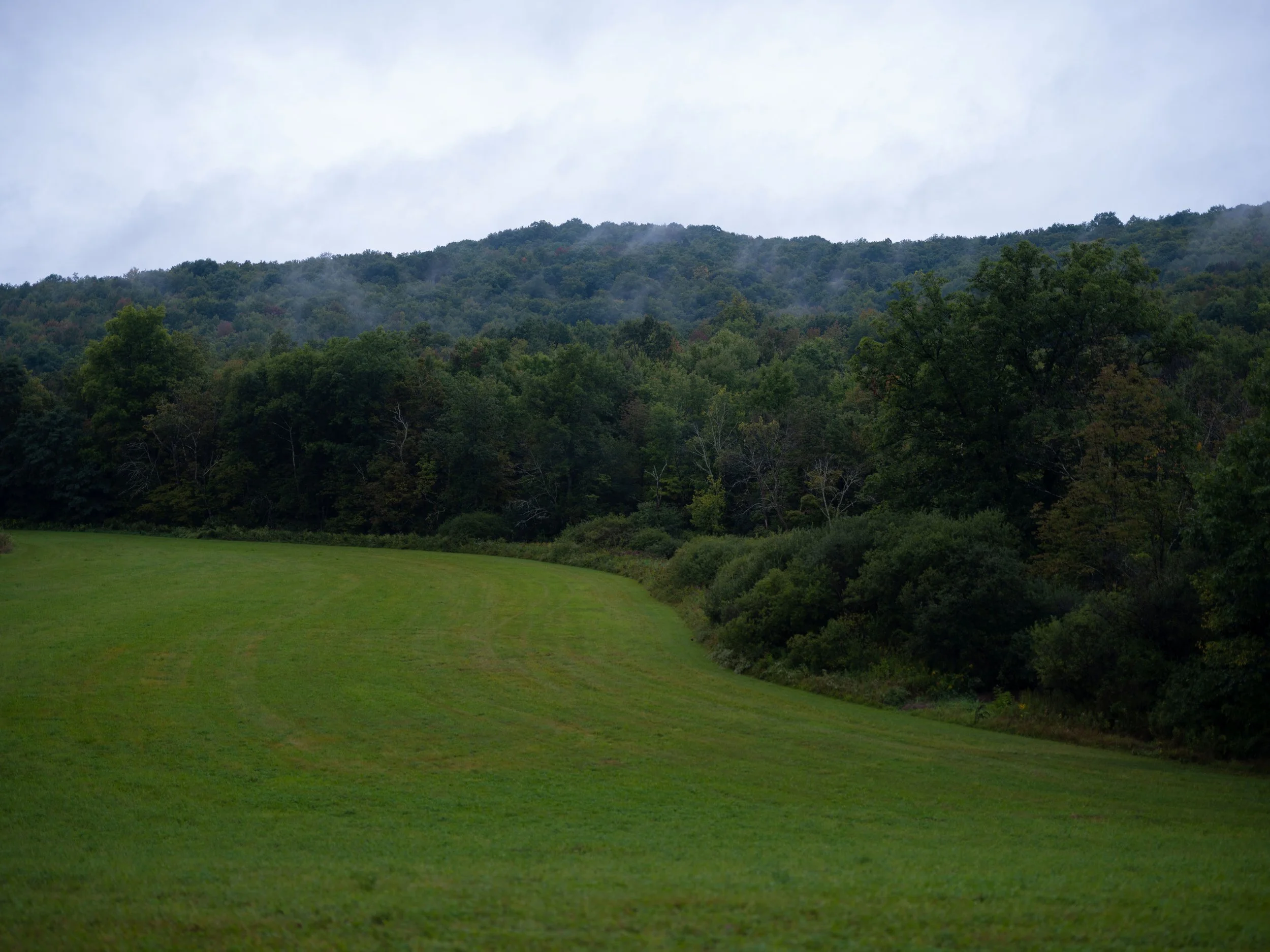 DSCF7833.jpg