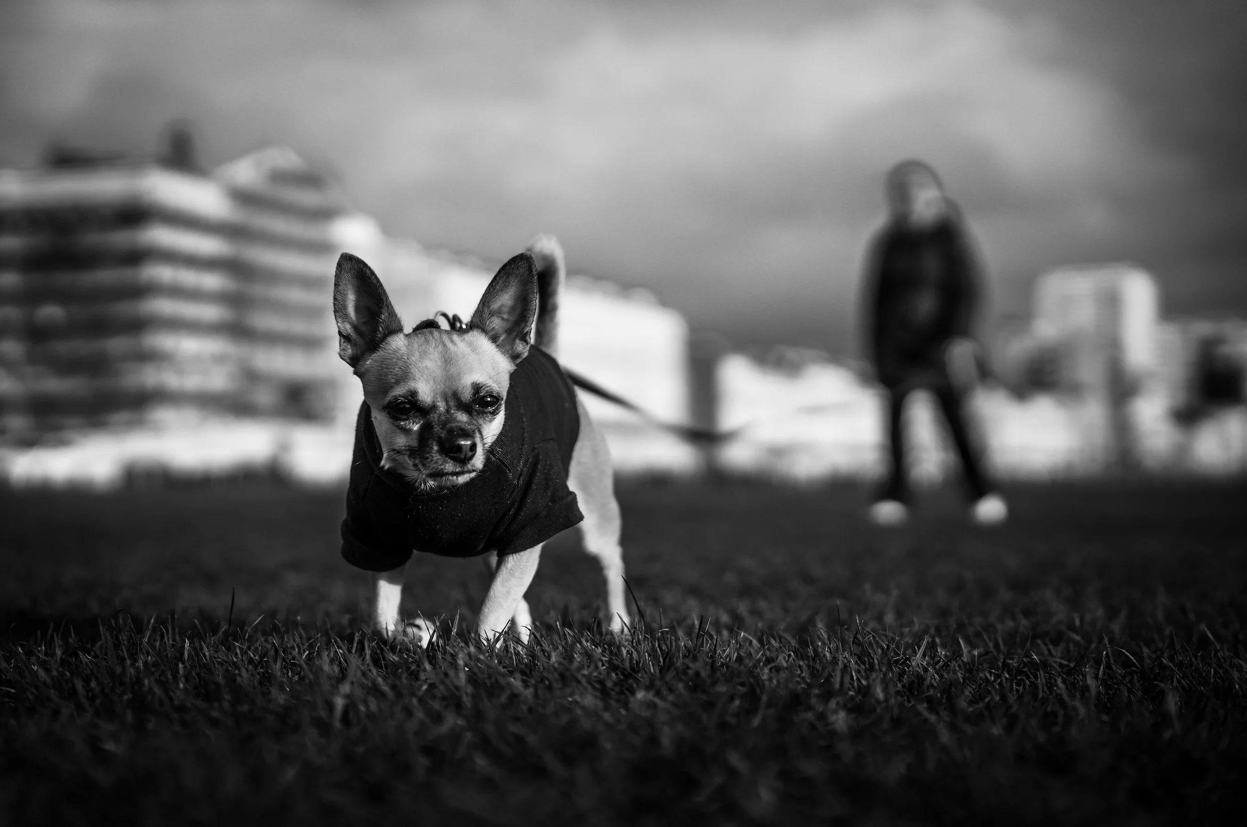 Brighton Street Masterclass