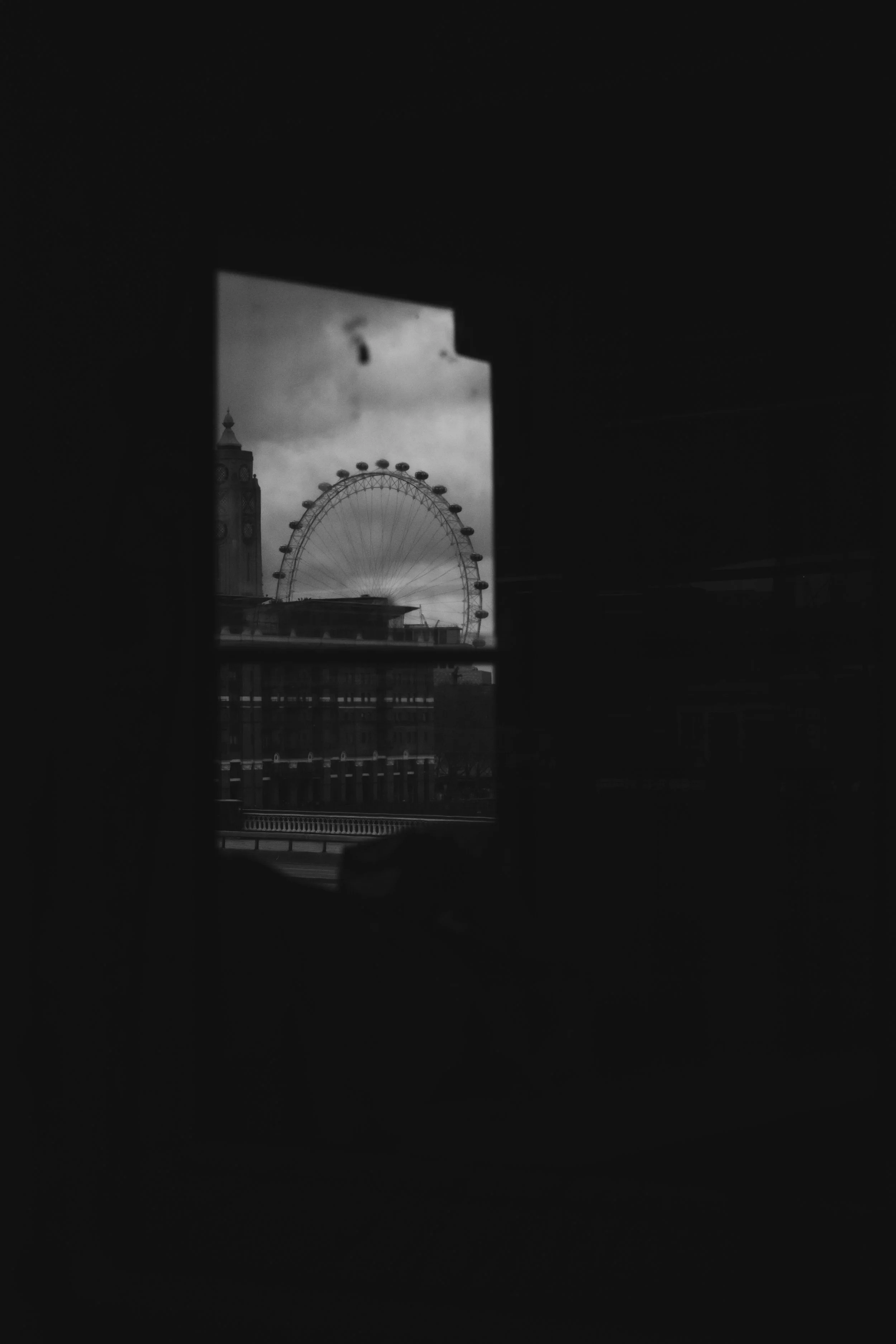 DSCF1263.jpg