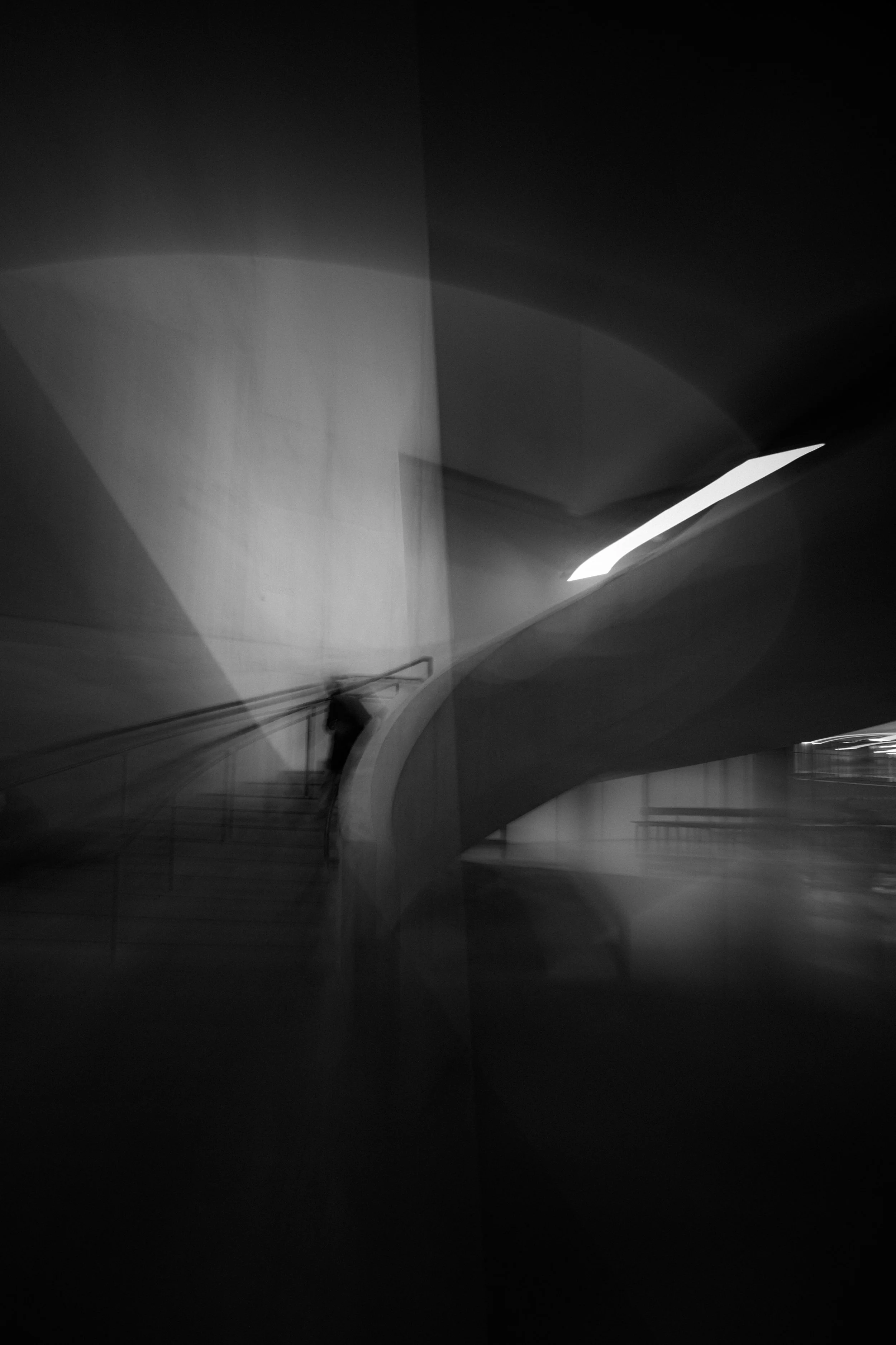 DSCF0807.jpg