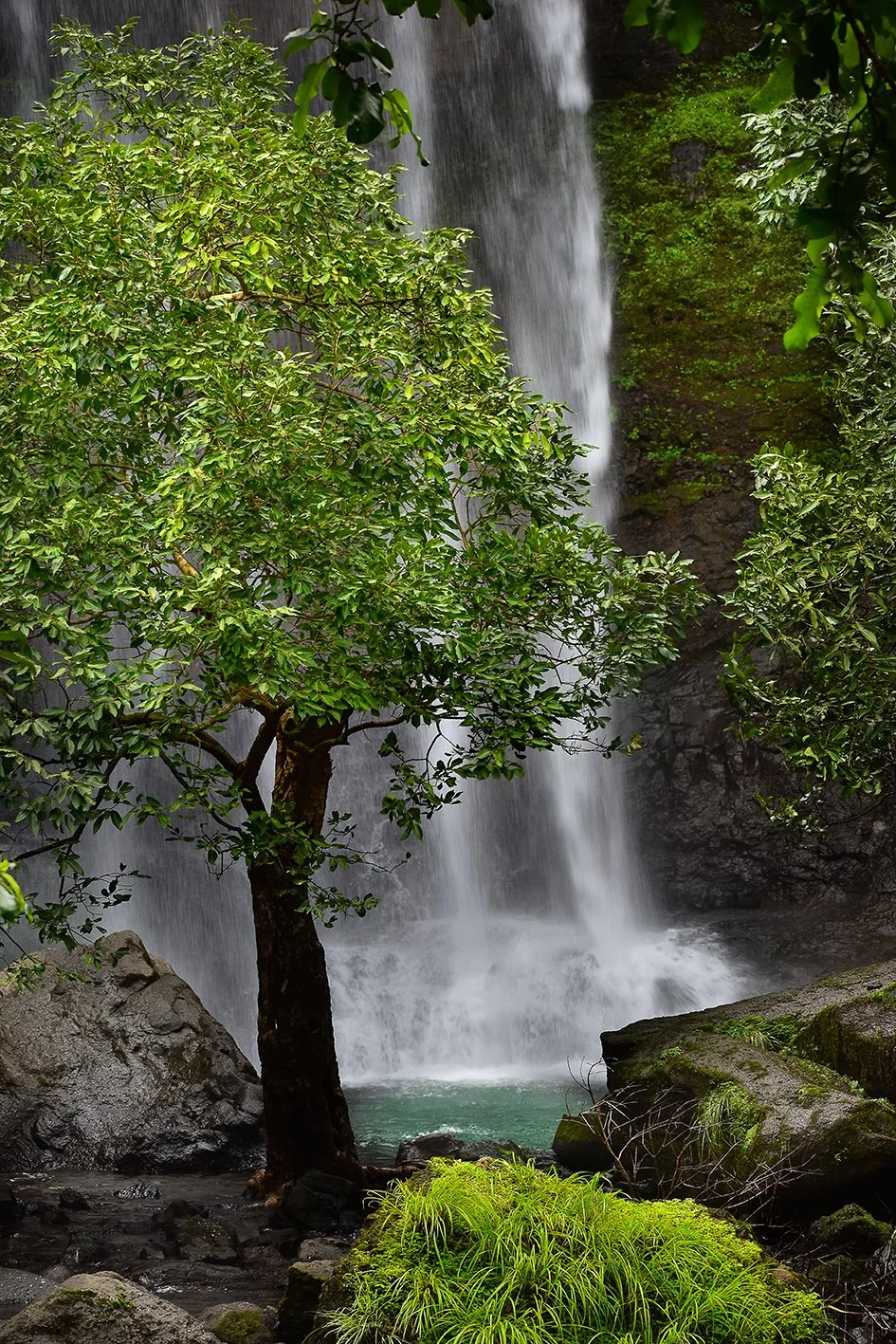 Waterfall