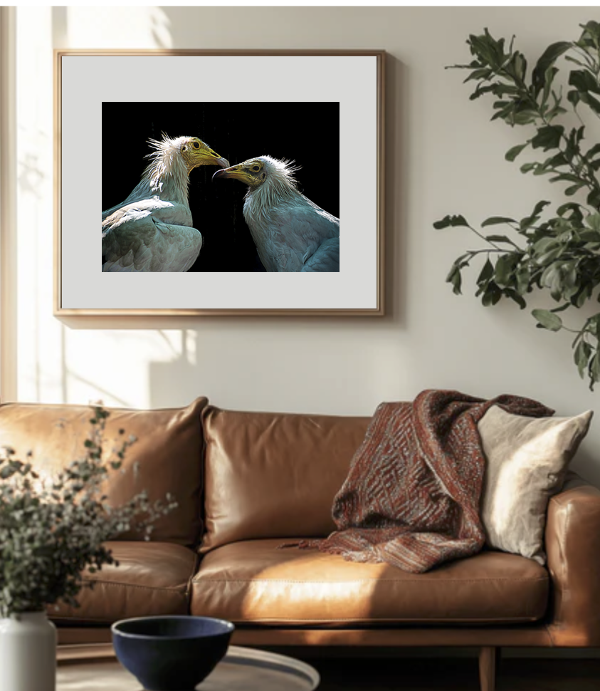 Eagles couple. Love