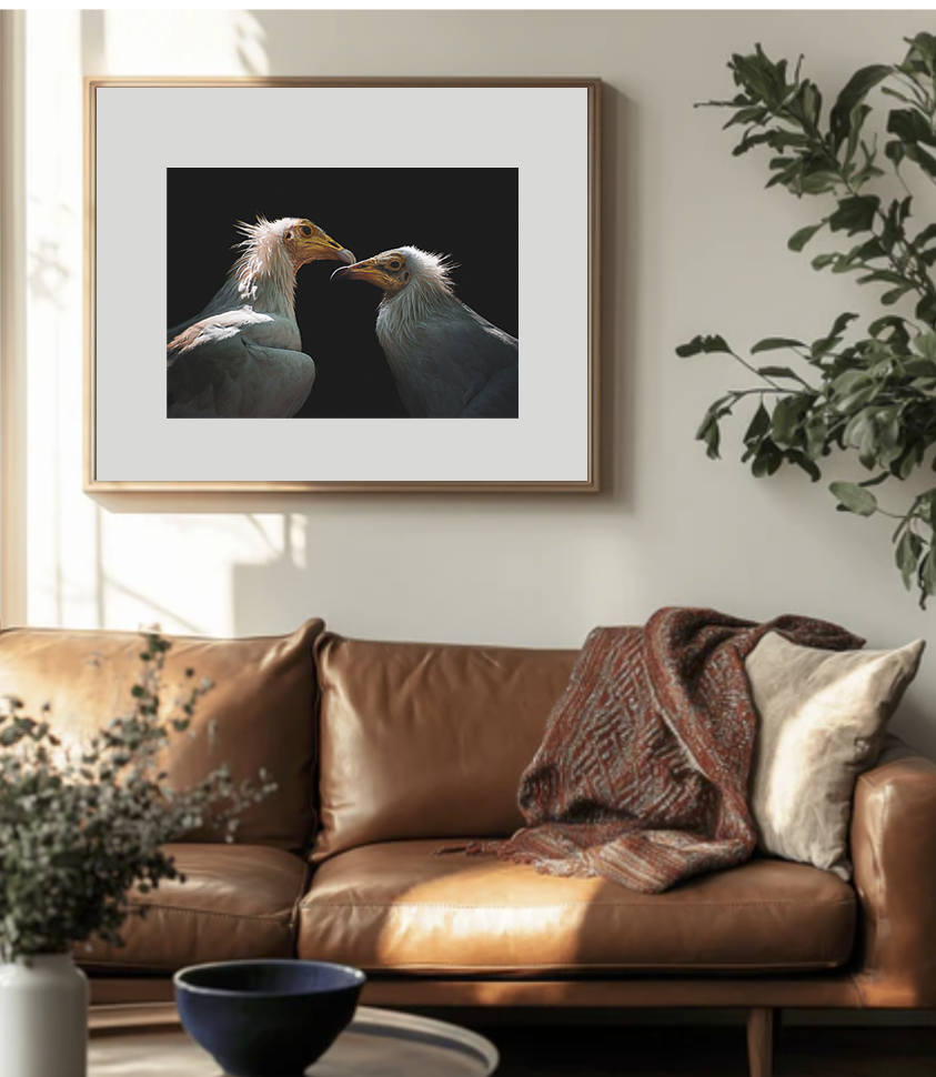 Birds7.png