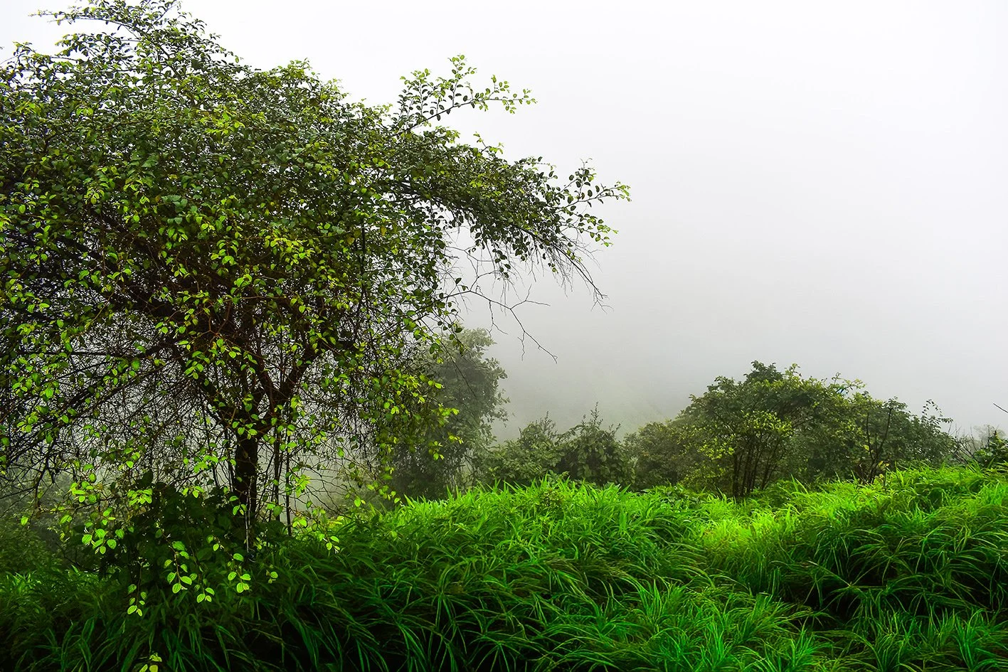 DSC_0119-3.jpg