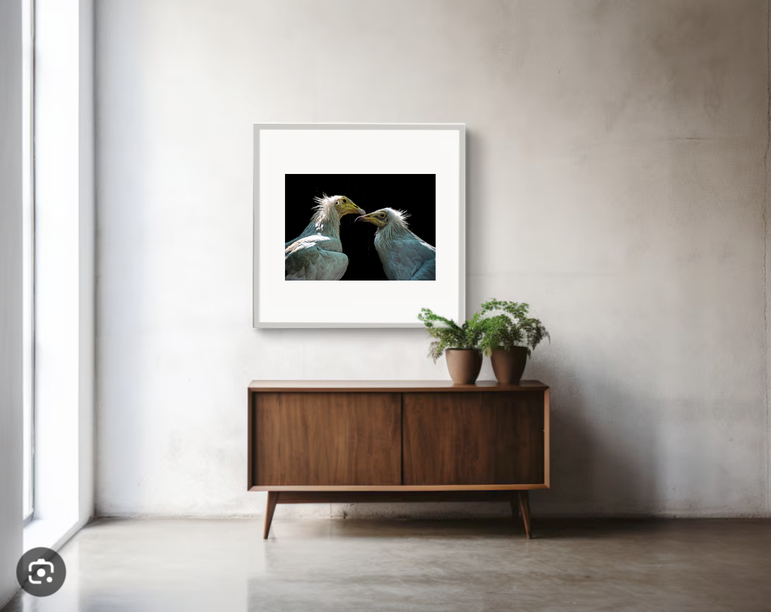 Birds.3.png