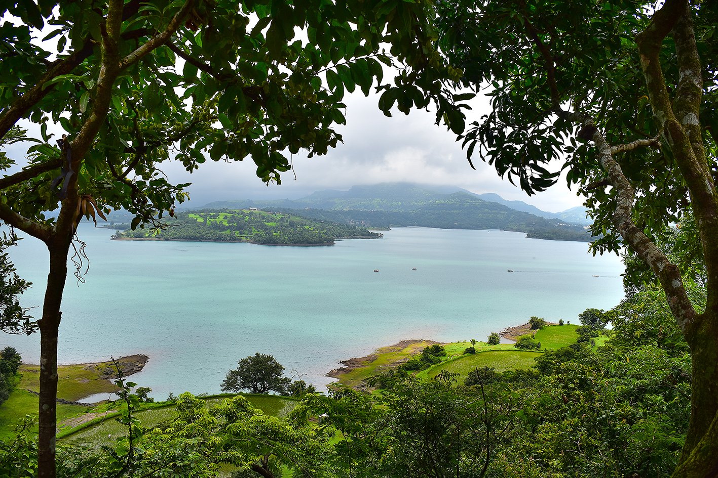 Lake view