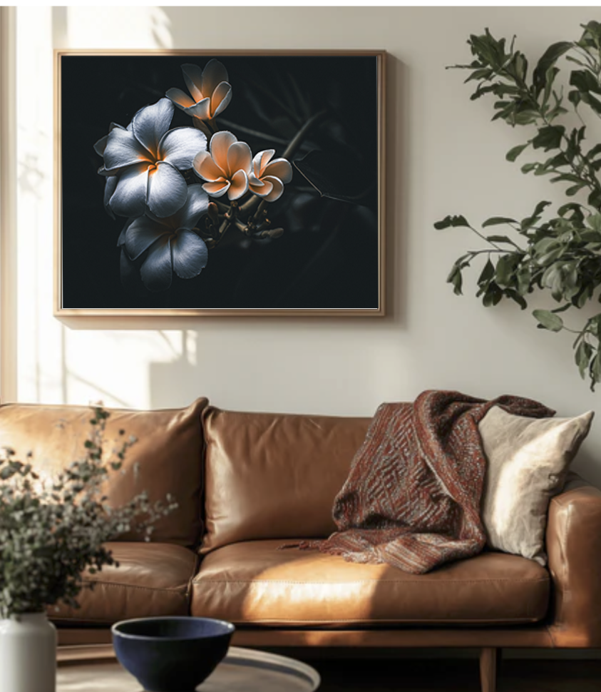 Champa flowers. White