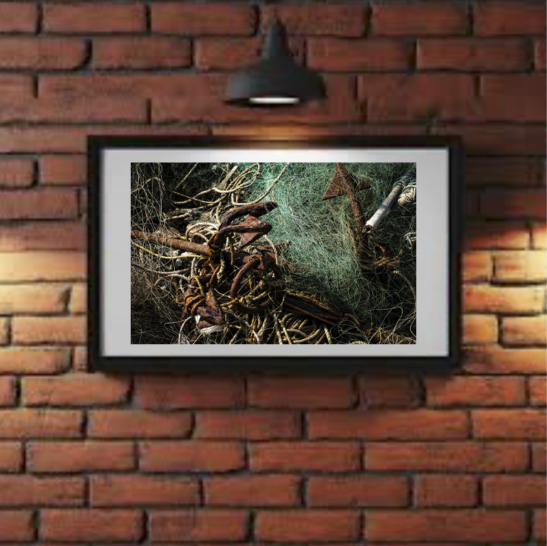 Nets & ancores.png