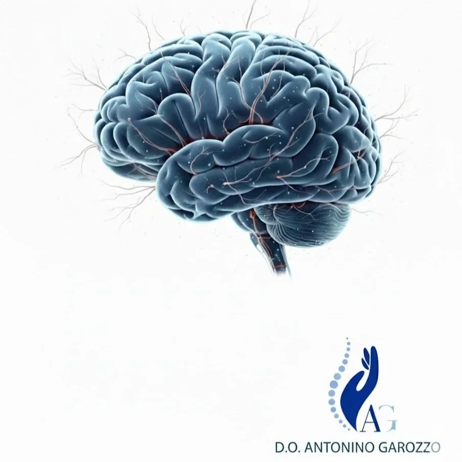 Riabilitazione Integrata e Superamento delle Criticità Ambientali nel Paziente Geriatrico Post-Ictus