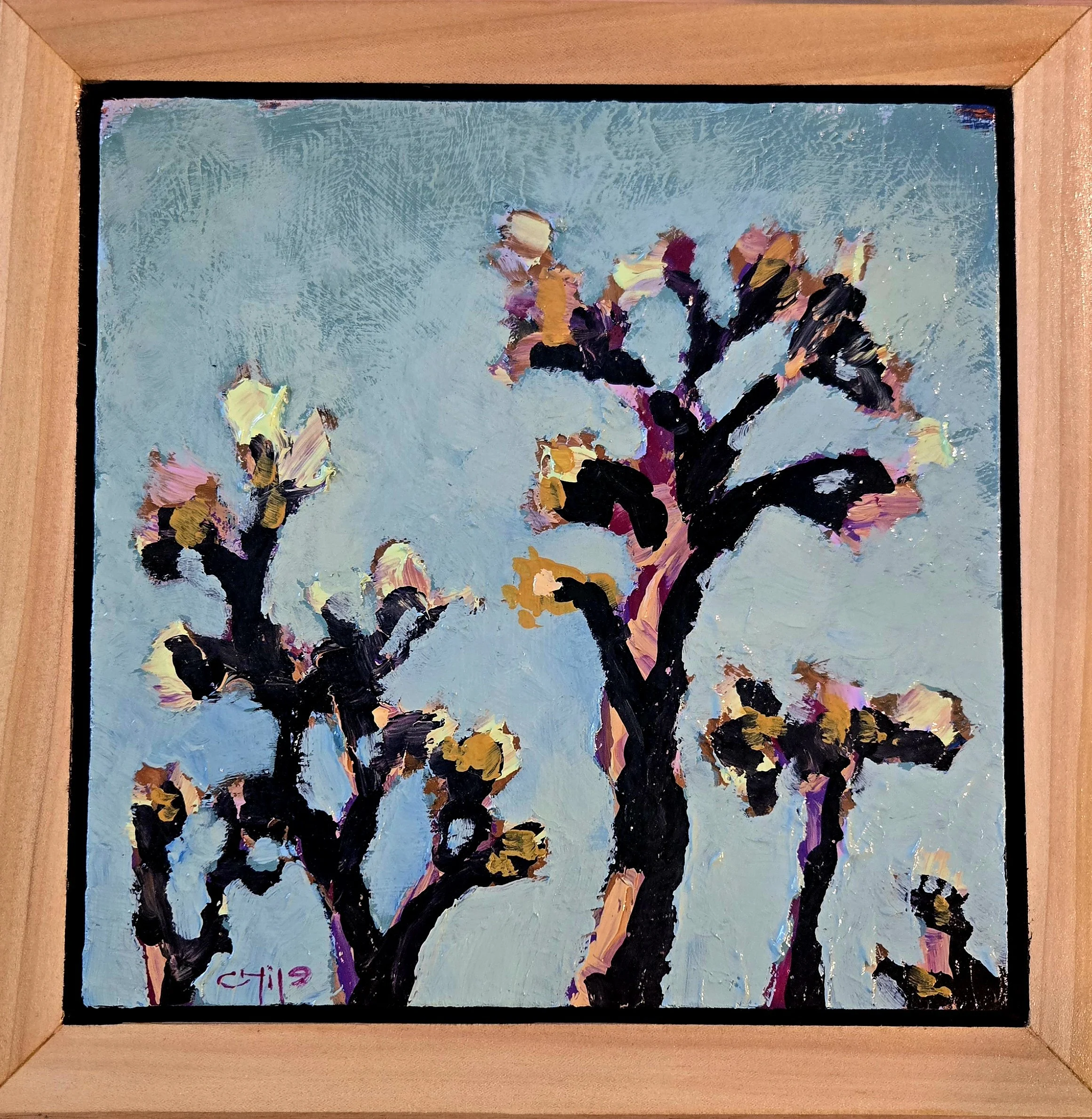 20260326_142002 (1).jpg