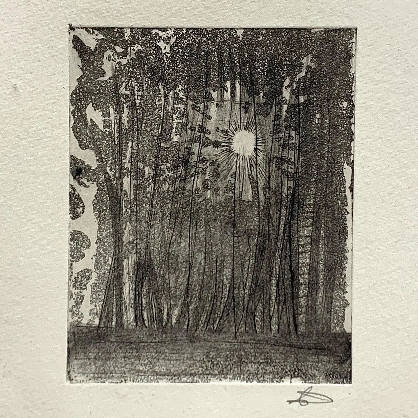 awareness
Dry point &amp; Sugar Lift Etching