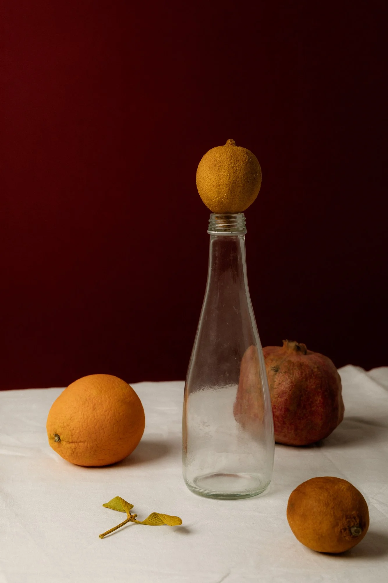 kaboompics_moody-still-life-with-vintage-elegance-surreal-objects-and-organic-forms-38492.jpg