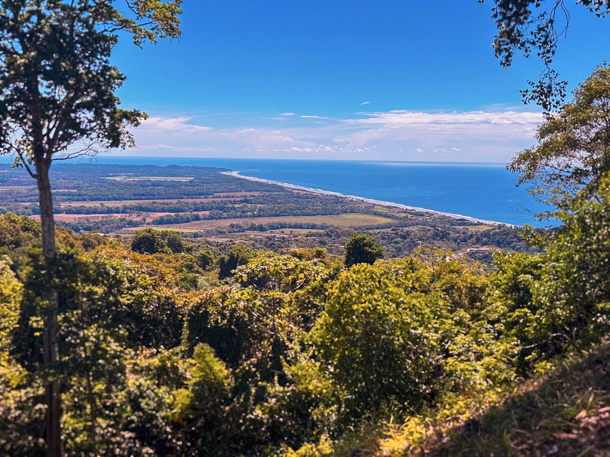 Panoramic view of the ocean and coastline from a viewpoint among green trees, under a blue sky with some clouds.