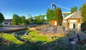 A landscaped park with a small pond, trees, and a building in the background on a sunny day.