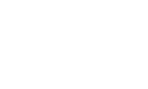 KARL IX