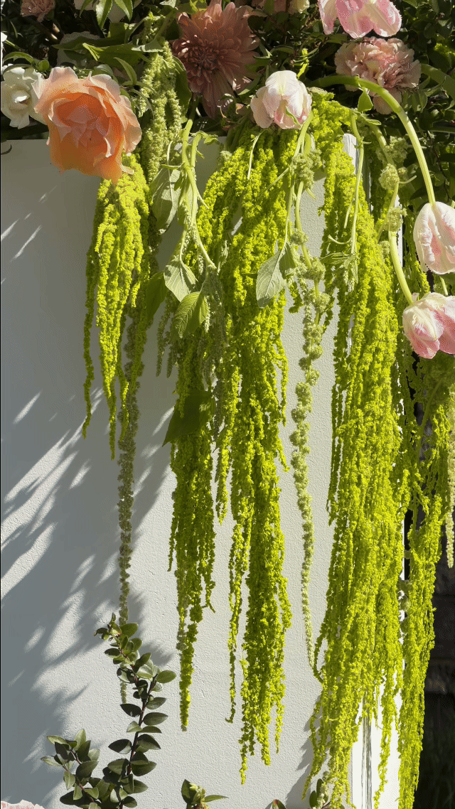 new-jersey-wedding-content-creator-ceremony-floral.gif