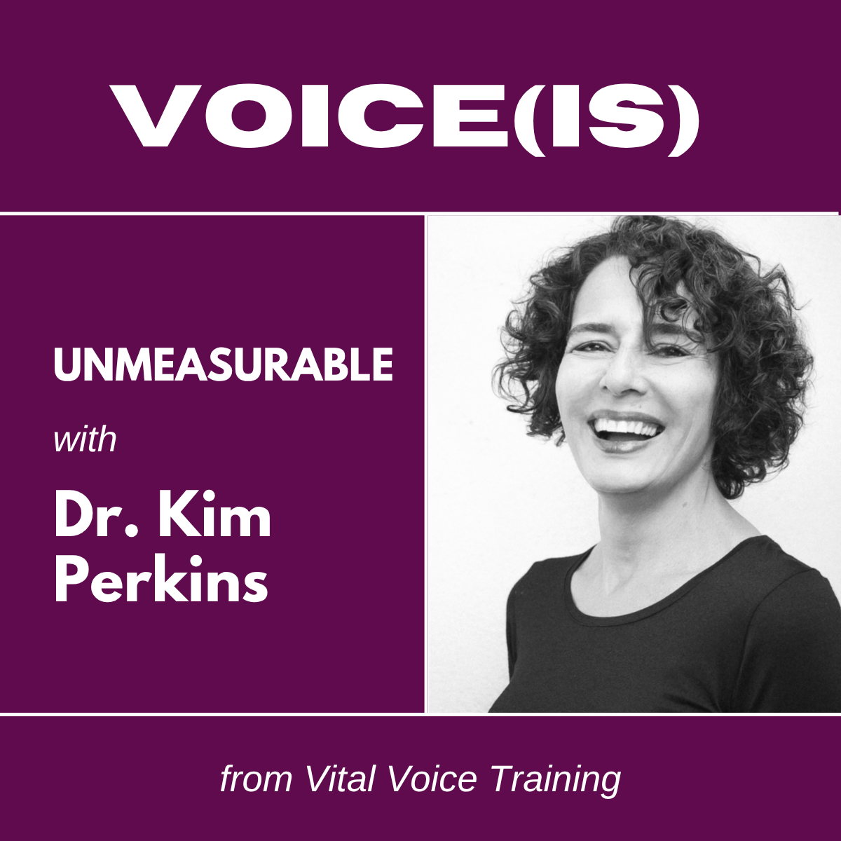 UNMEASURABLE with Kim Perkins: Authenticity, human behavior, and other squishy data