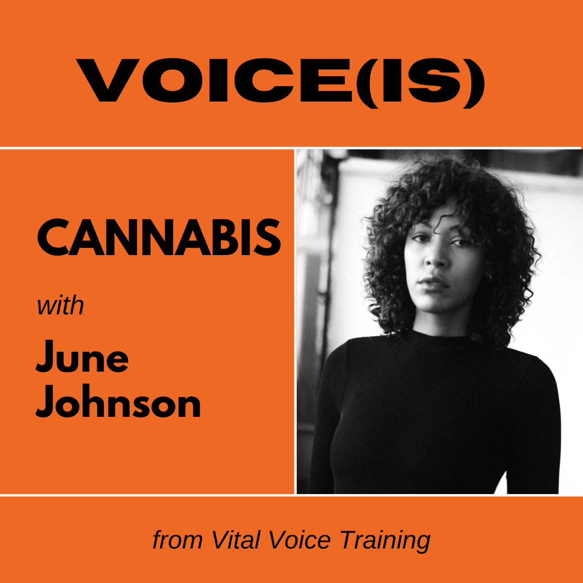 CANNABIS with June Johnson: On the State of the Cannabis Union… and Throwing a Great Party