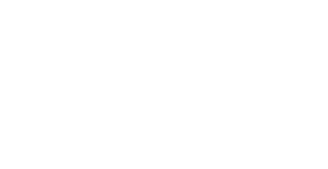 Vital Voice Training