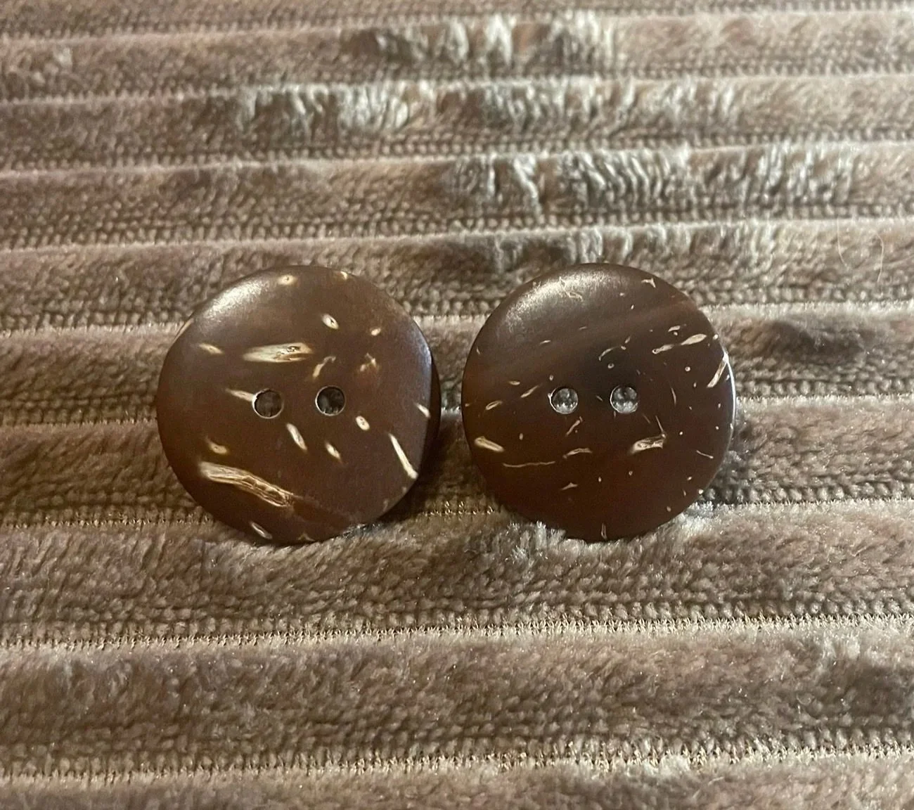 Earrings, Coconut Shell Posts