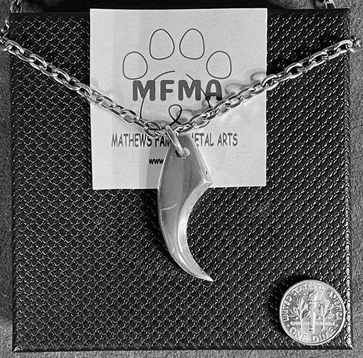 Silver Claw Necklace - Handcrafted