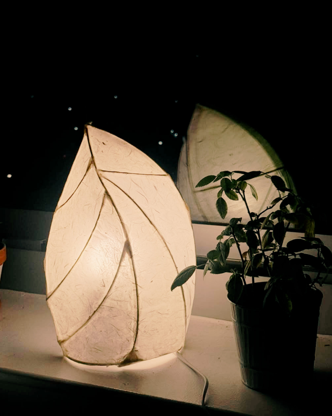 shape the glow: lamp making experience