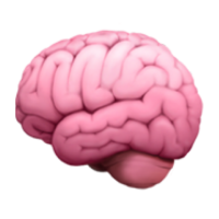 UX Workshop Grundlagen und praktische Anwendung