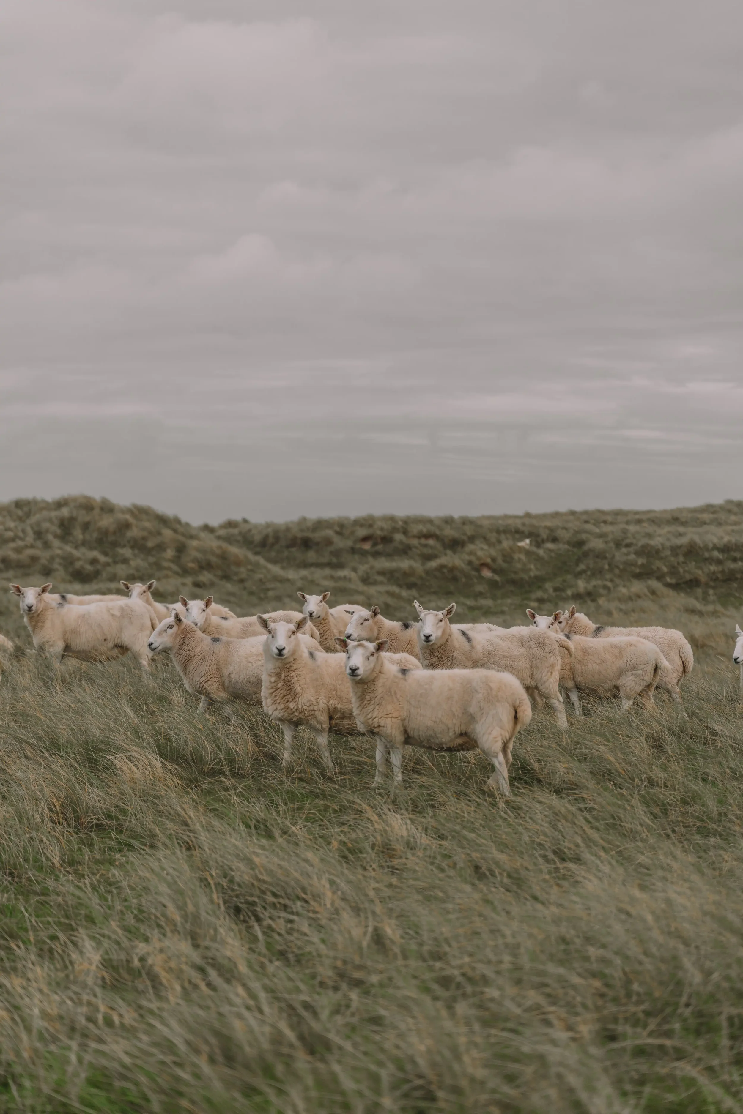 Sauna Use, Arthritis, and the Benefits of Consistent Heat