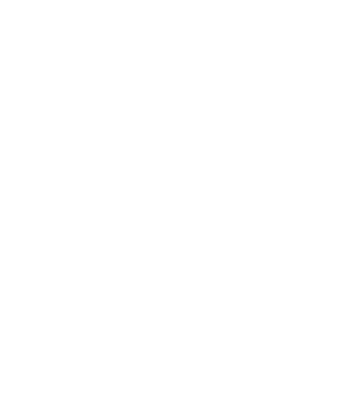 The image is blank with no visible objects or scenery.