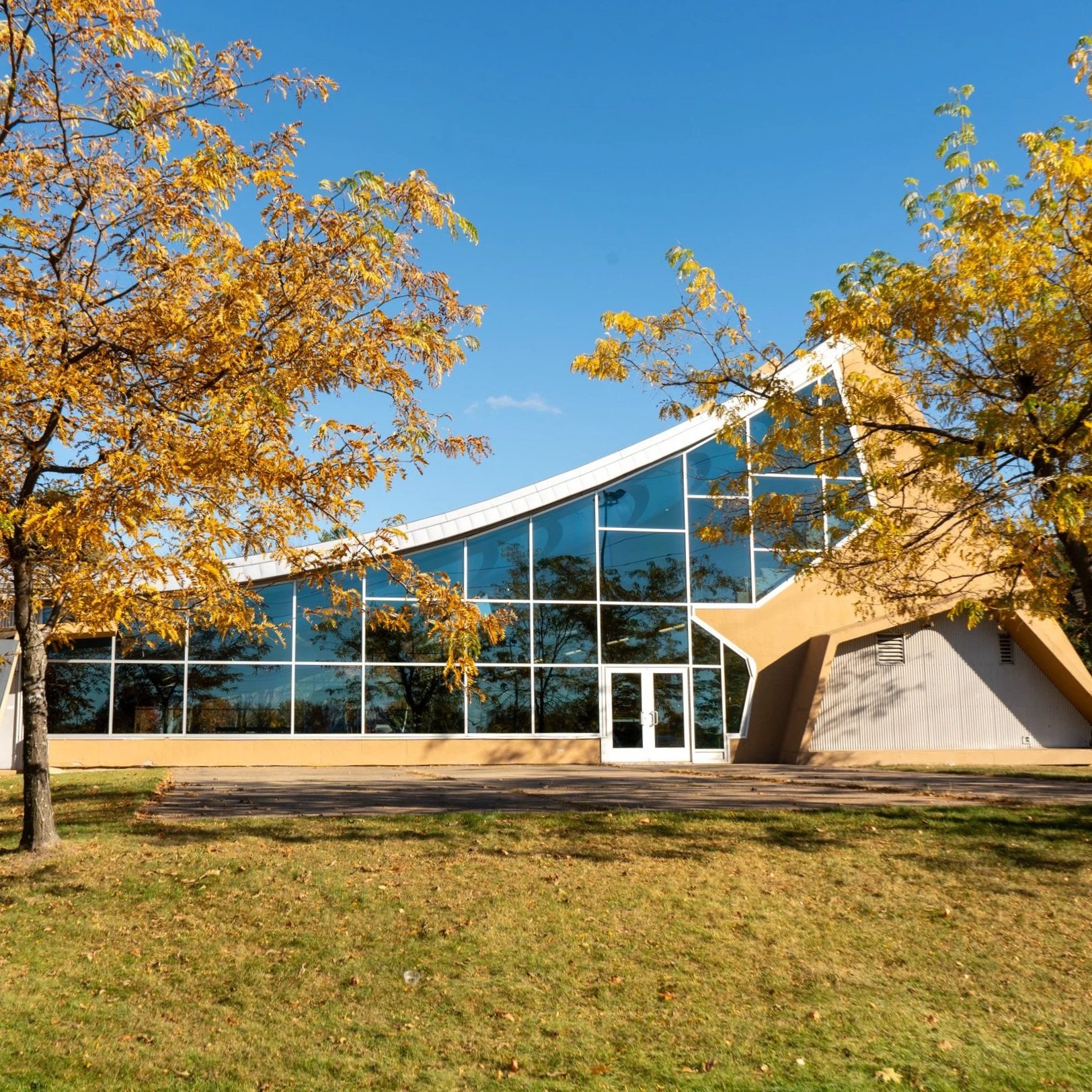 A modern building with glass windows and a angular white roof, partially obscured by trees with yellow leaves, under a blue sky.