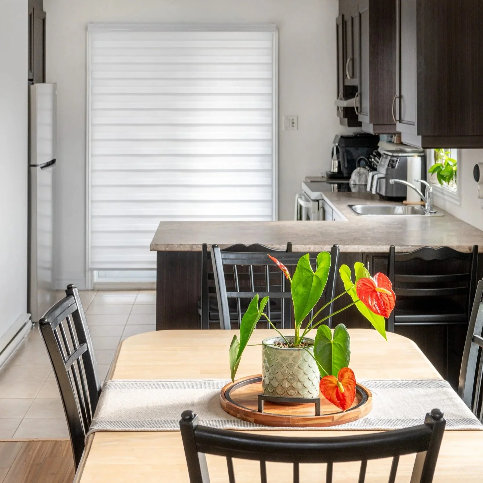 A kitchen with dark wood cabinets, a beige countertop, a stainless steel sink, and a window with natural light. A dining table with black chairs and a potted plant with red and green leaves in the foreground.