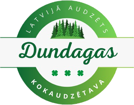 Jaunemari Dundagas kokaudzētava