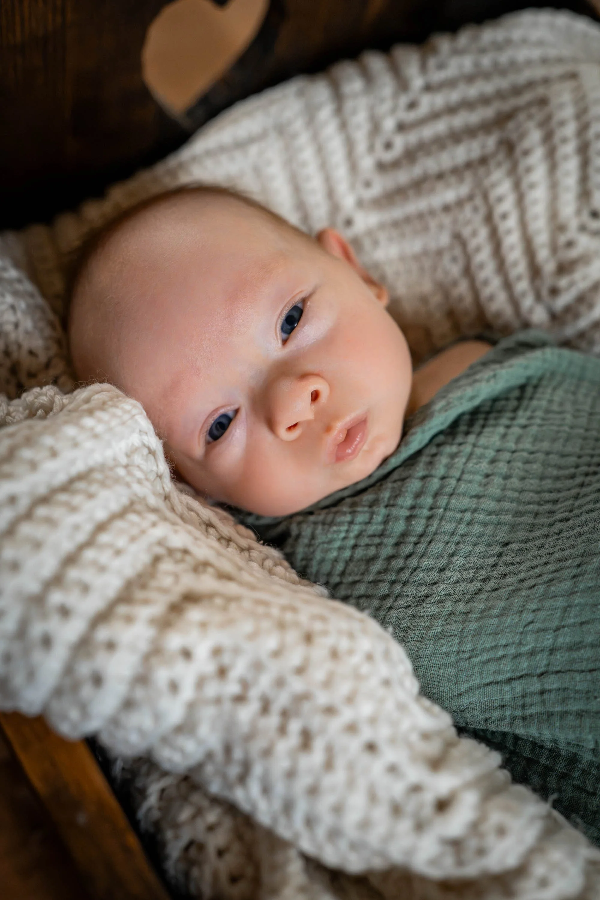 Pelletier Family In Home Newborn Session | Beavercreek, Ohio Family Photographer