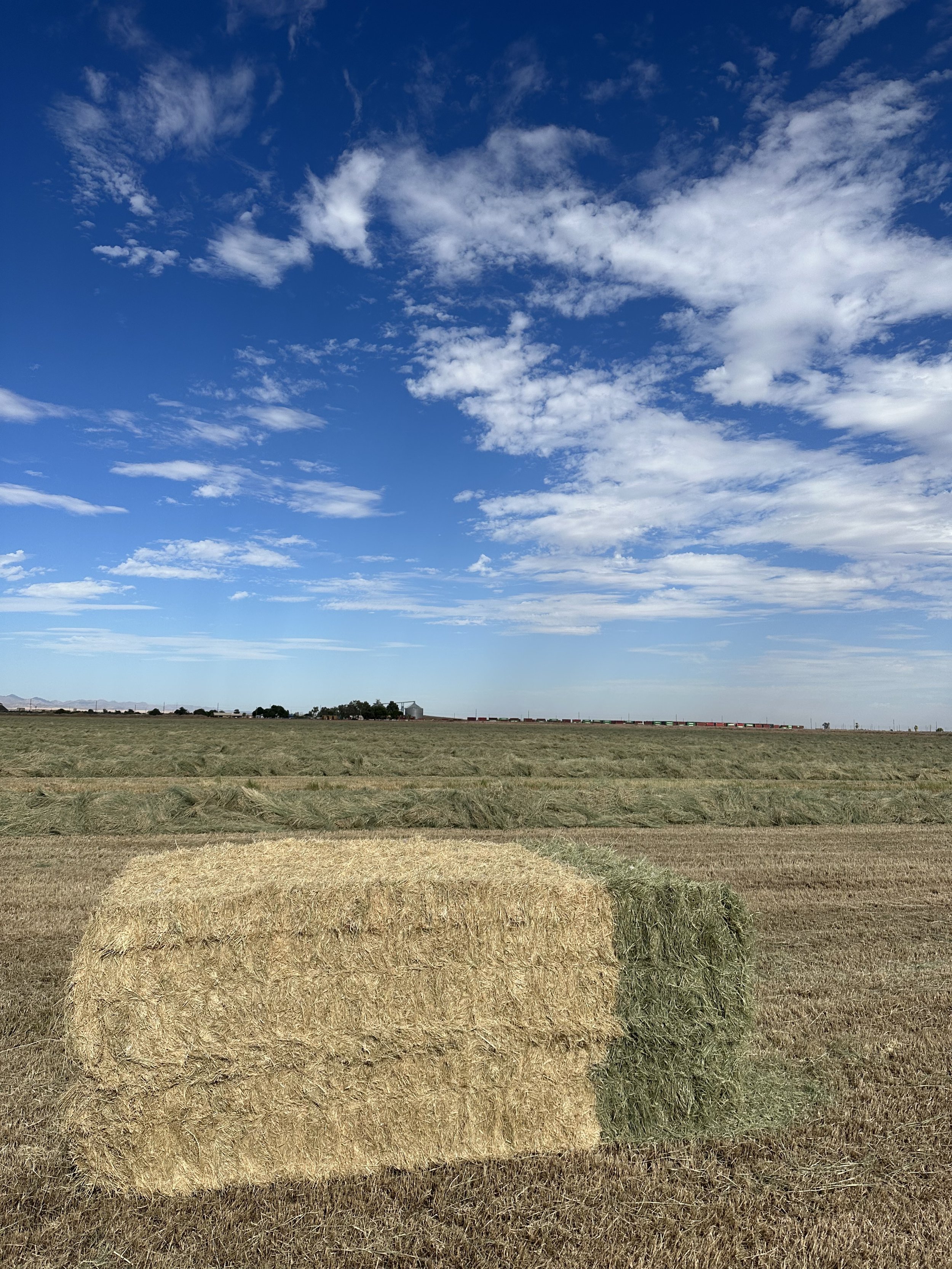 A hay bale on a grassy field with a blue sky and scattered white clouds above, in a rural area.