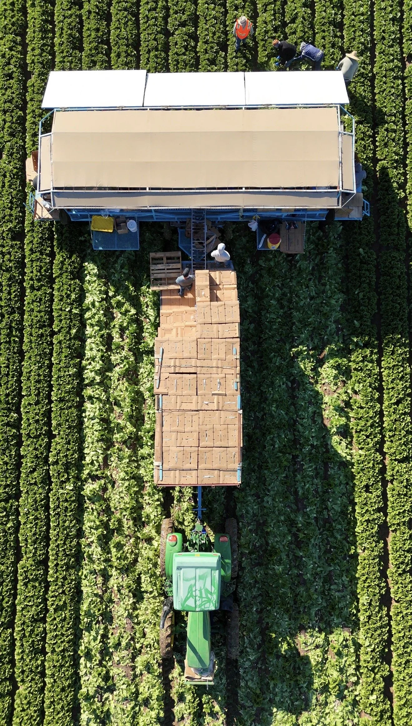 Aerial view of a tractor pulling a trailer loaded with bricks in a green farmland, with workers on a platform at the top of the trailer and plants in the rows around.