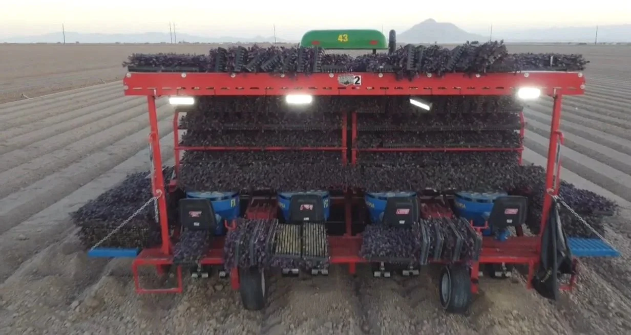 A tractor attachment with multiple rows of planting or seed seeders in a farmland field, facing away from the camera.