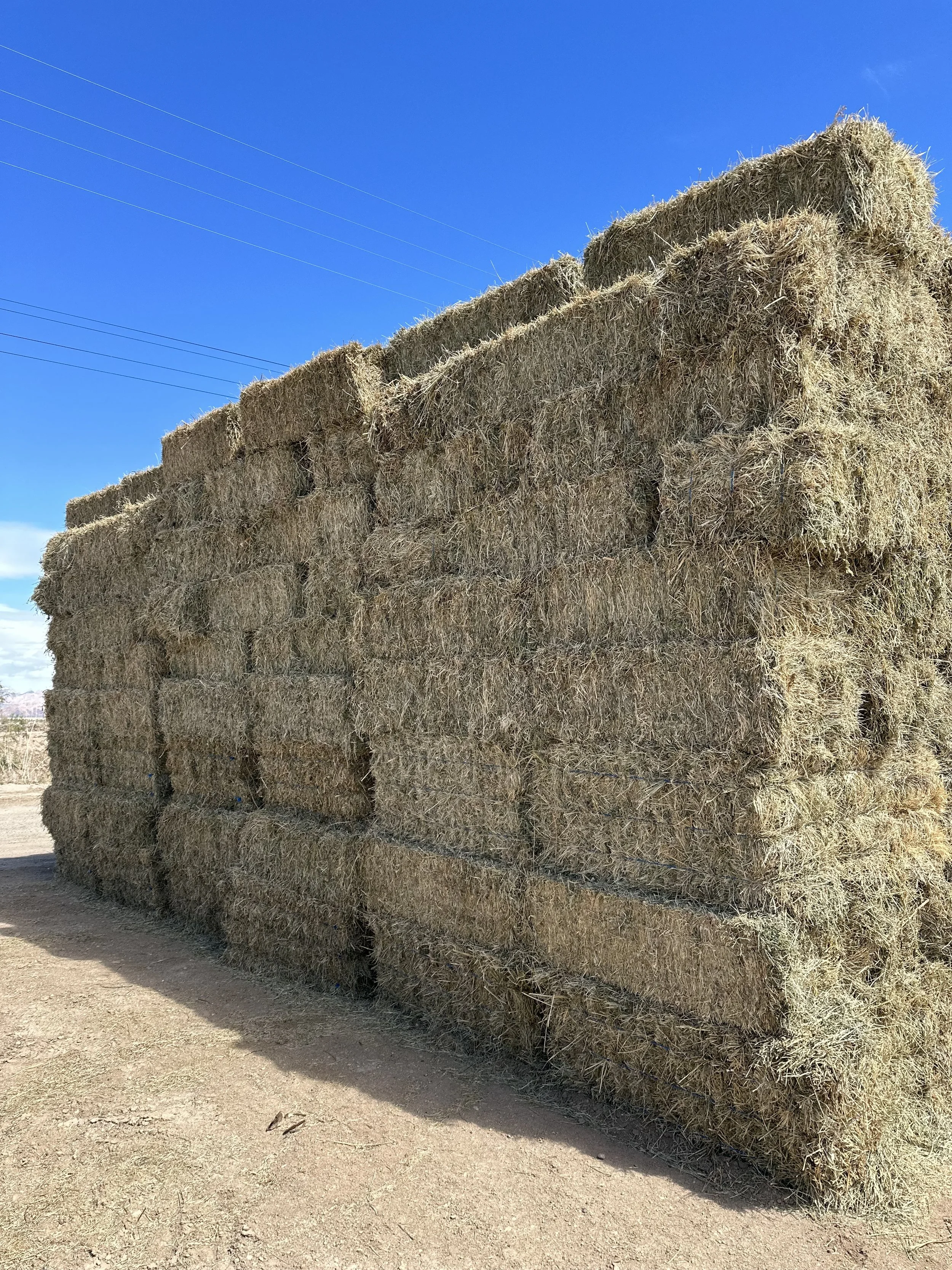 Large stack of rectangular hay bales outdoors on a dirt ground under a clear blue sky.