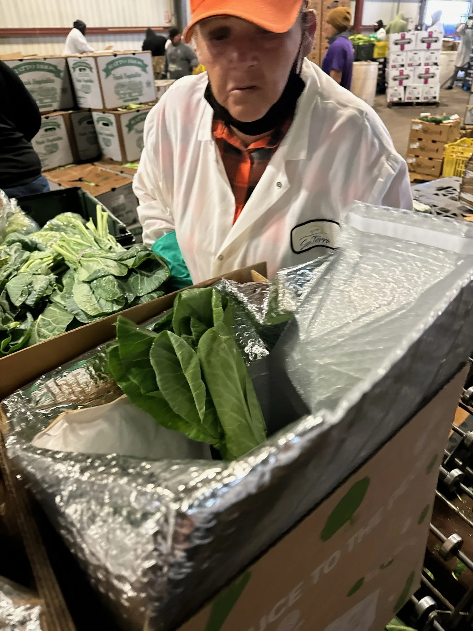 A worker in a grocery store wearing a white apron, orange cap, and black face mask, examining fresh leafy vegetables in a cardboard box with reflective insulation lining.