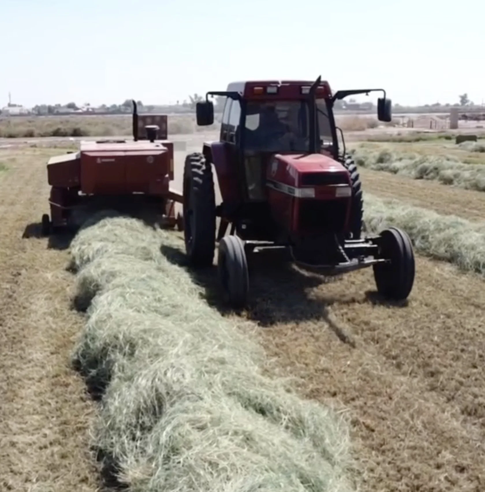 A red tractor on a farm field, pressing hay into rows.