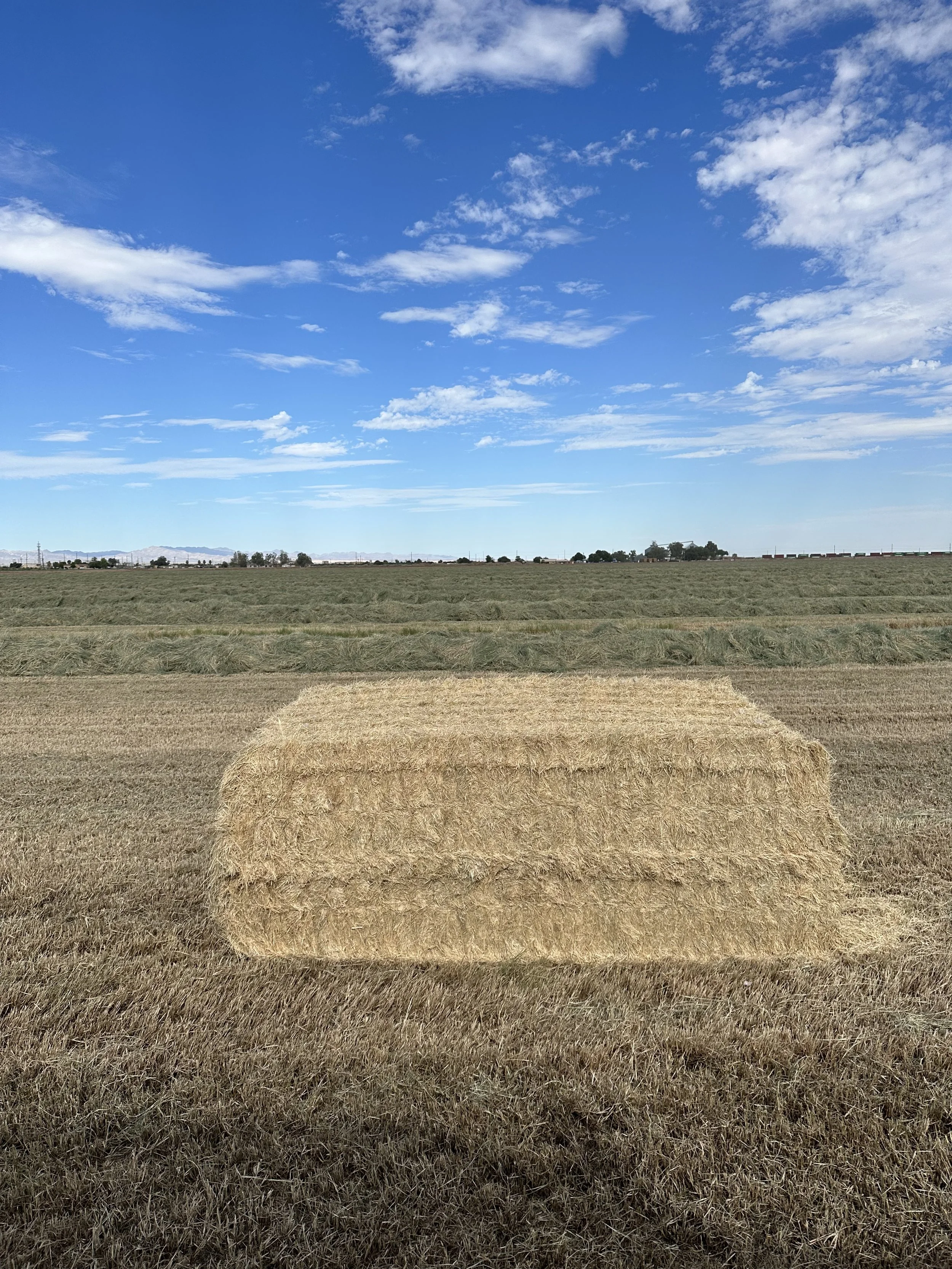 A hay bale in a field with a blue sky and scattered clouds.