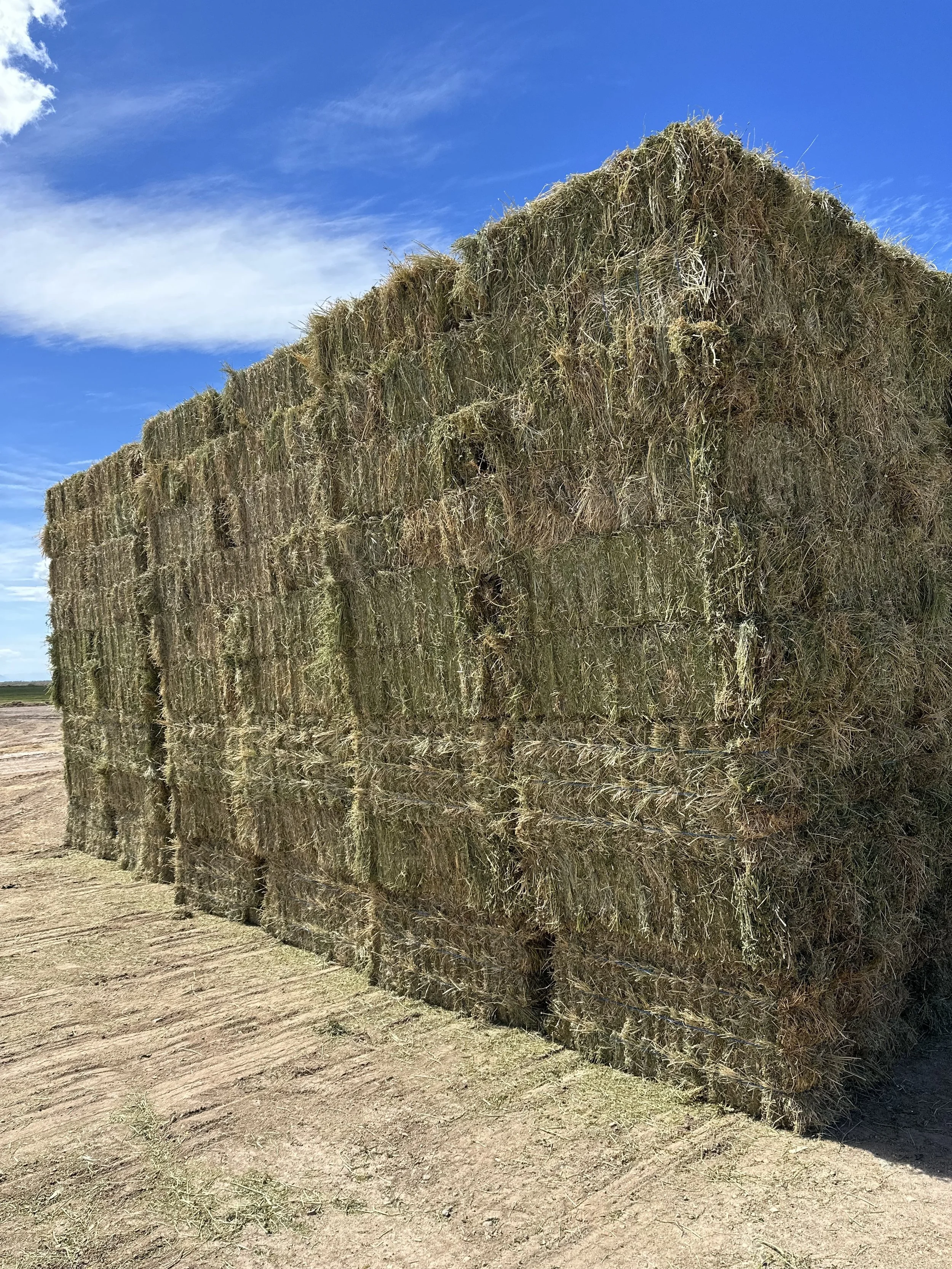 A large stack of hay bales outdoors on a sunny day with a blue sky and some clouds.