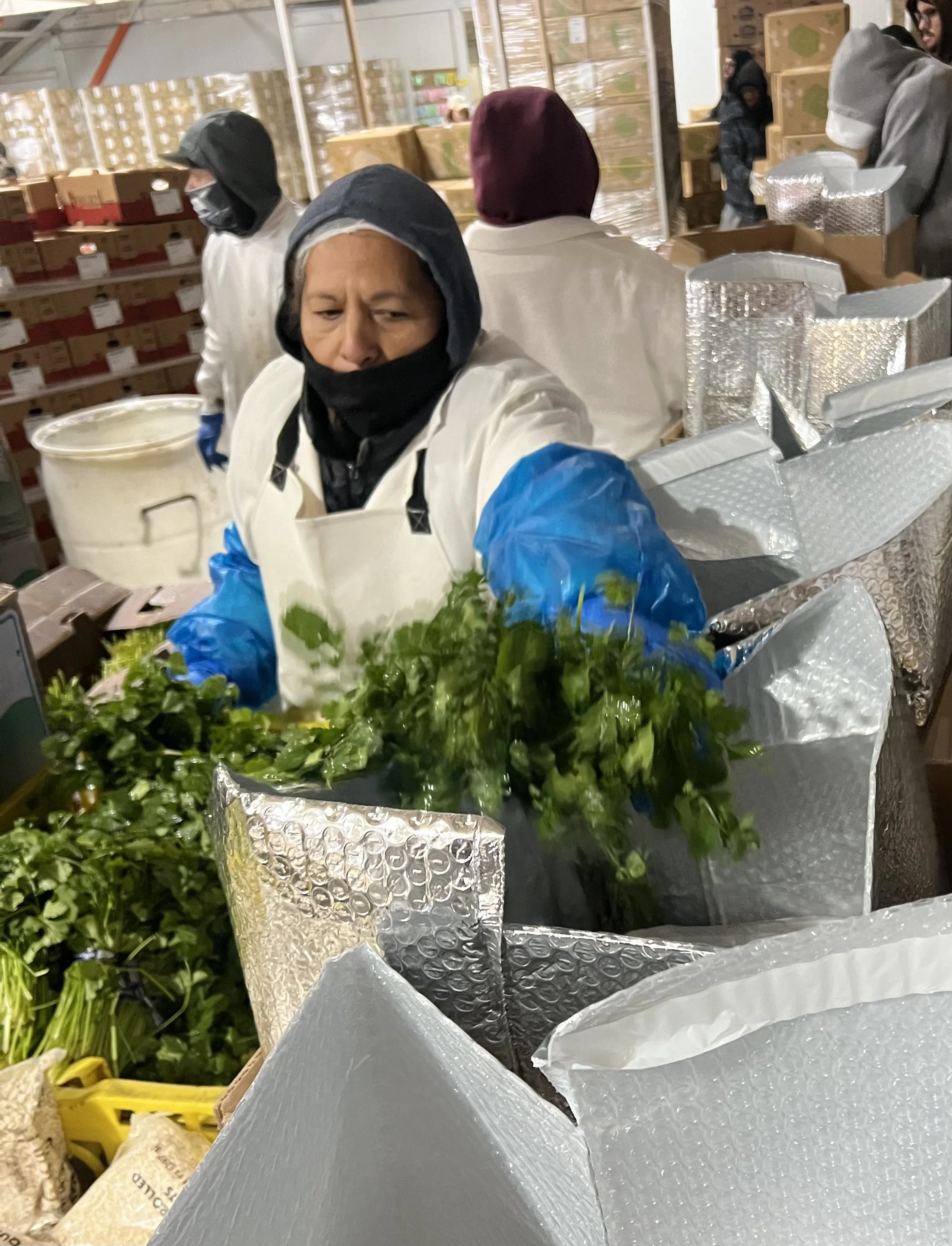 People working at a distribution center sorting and handling fresh leafy greens, with boxes of goods and packaged items around them.