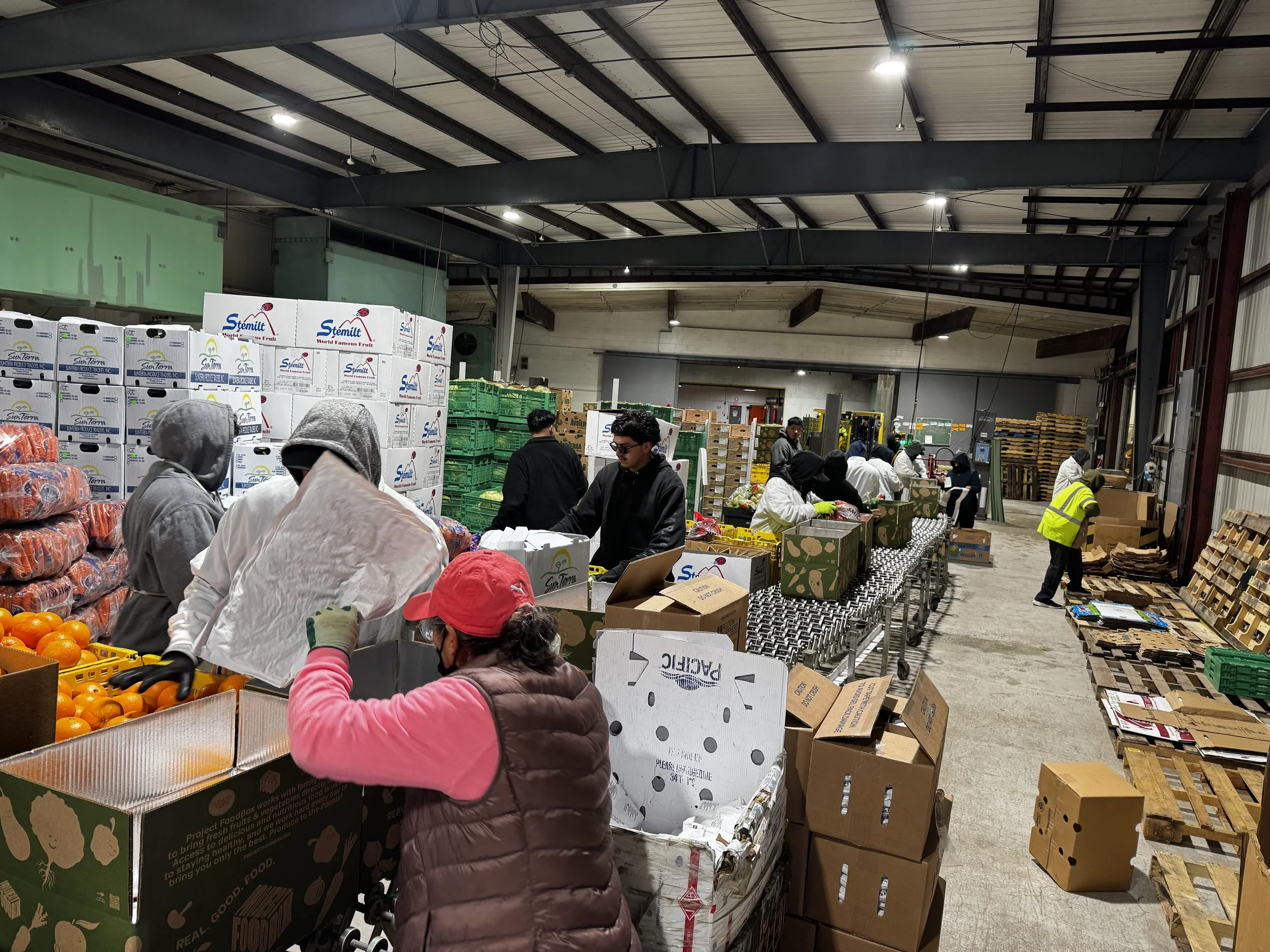 People sorting and packing produce in a warehouse with boxes of fruits and vegetables, metal shelving, and pallets.