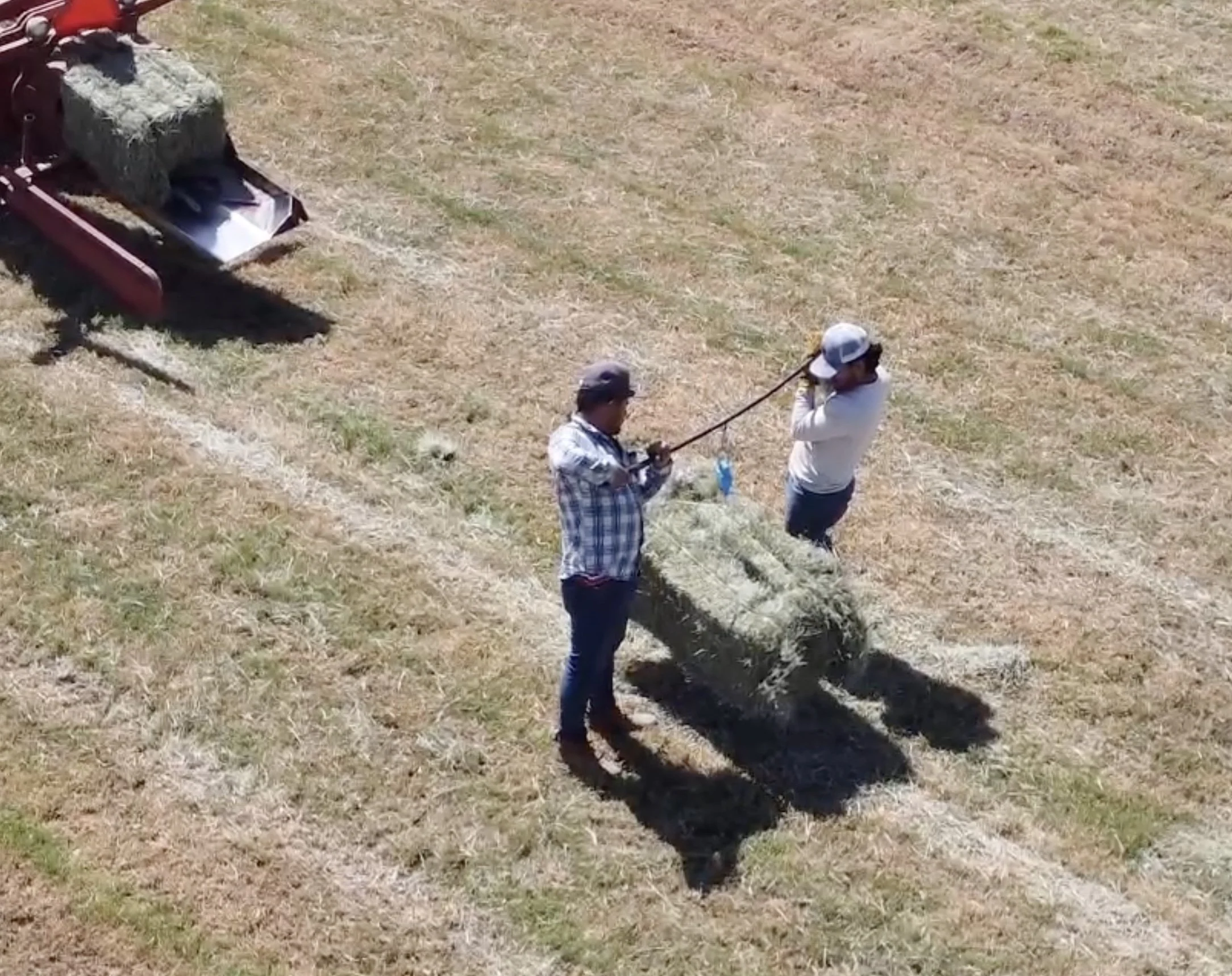 Two people are working on a field with dry grass. One person is holding a large bale of hay while the other is pulling on a rope attached to the bale, possibly attempting to move or position it.