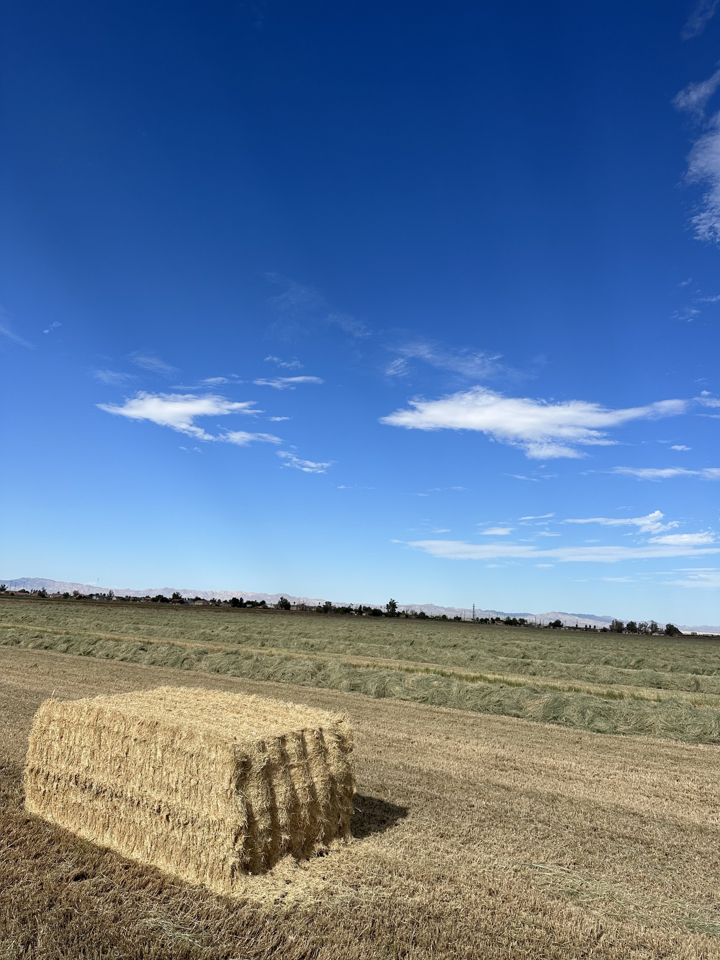 A hay bale in a field under a blue sky with a few white clouds.