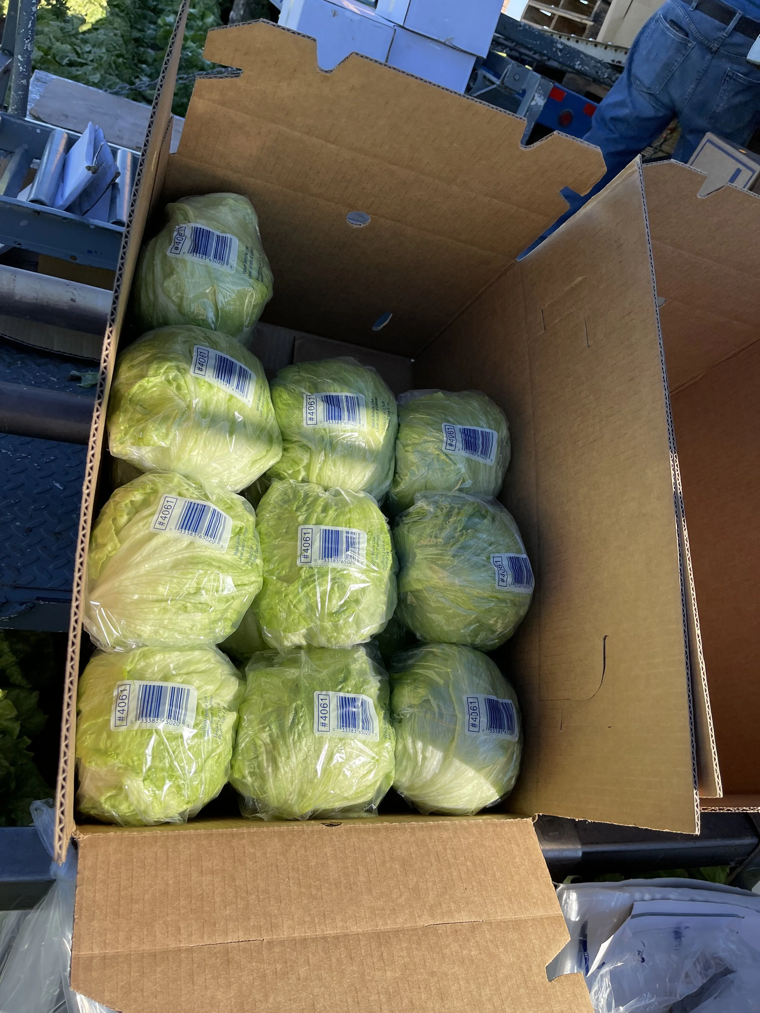 Head of iceberg lettuce wrapped in plastic inside a cardboard box.